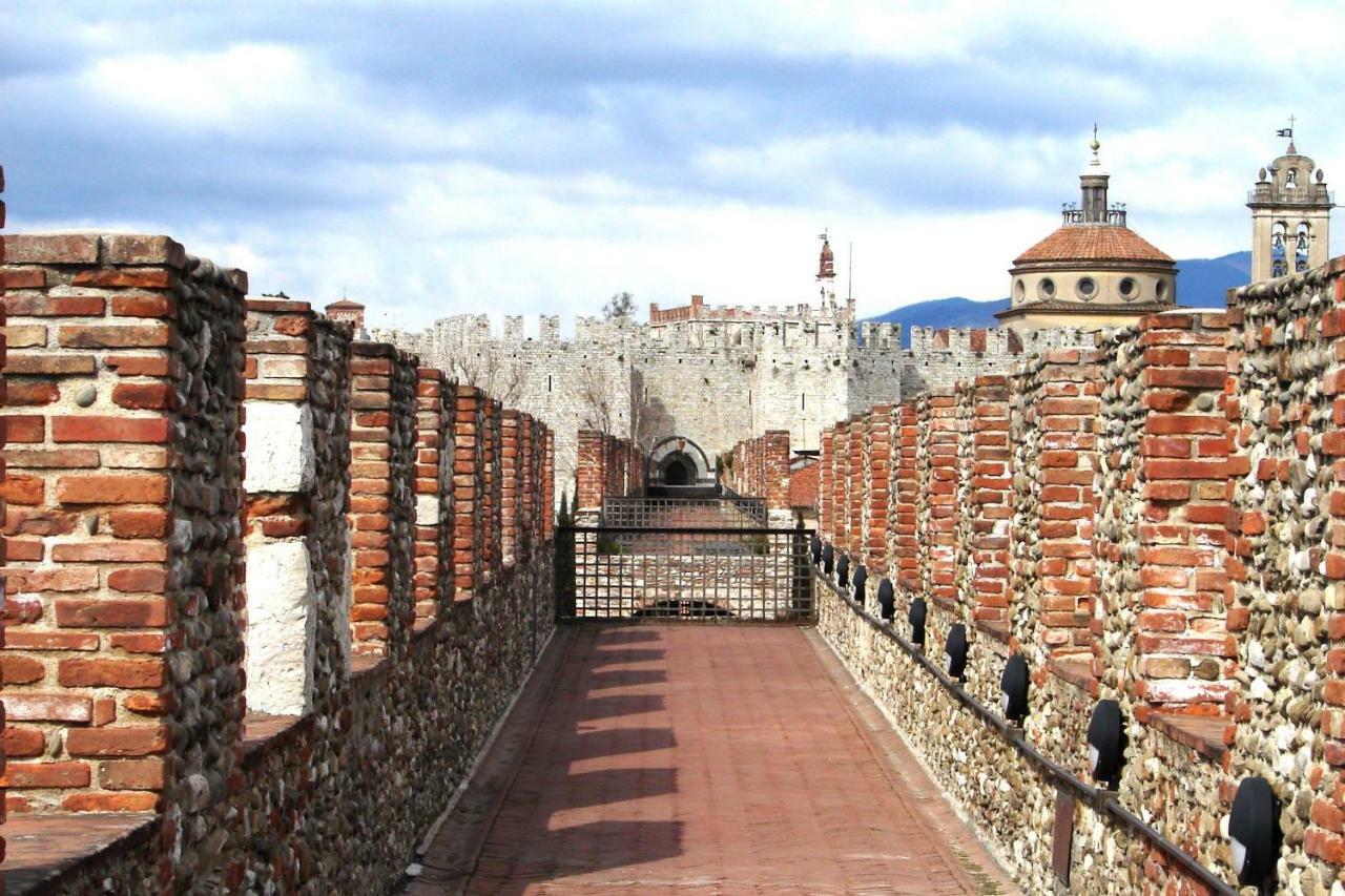 Calimara18 25